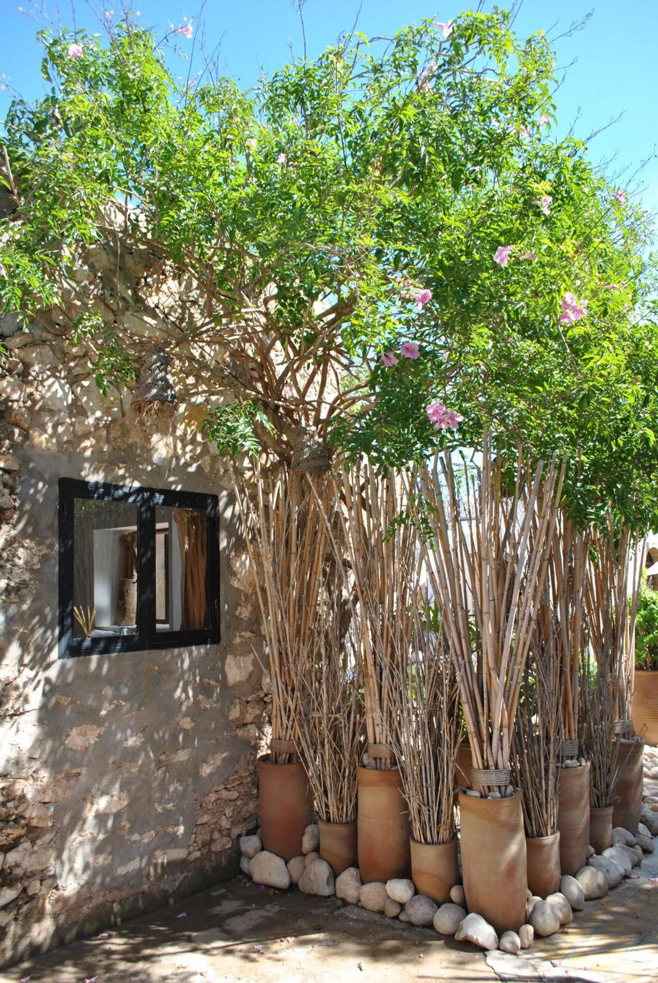 Maison Sidi Et Lalla Suvayr Dış mekan fotoğraf