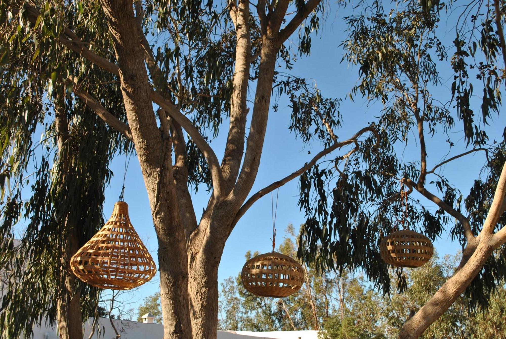 Maison Sidi Et Lalla Suvayr Dış mekan fotoğraf